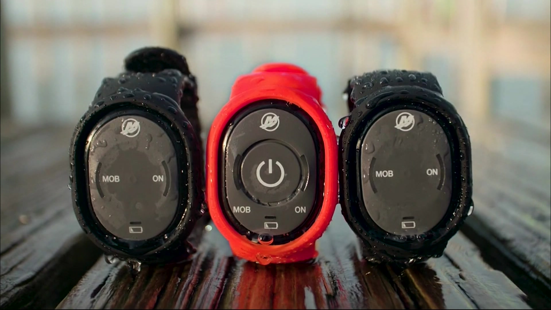 Article 270080 Thumbnail