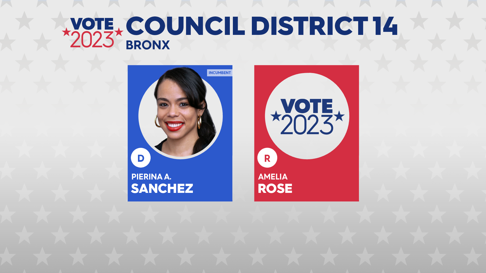 City Council District Races