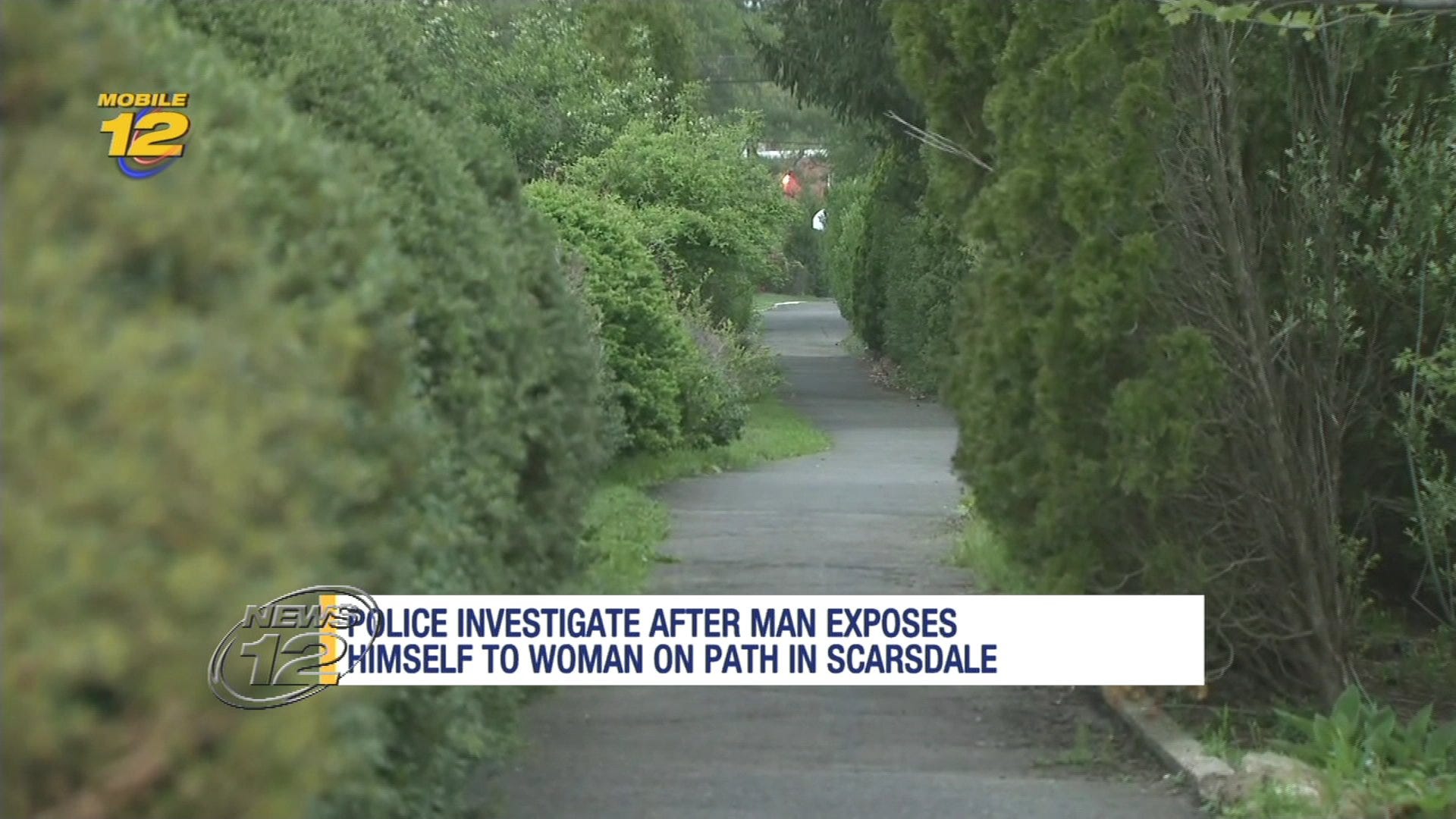 Article 116279 Thumbnail