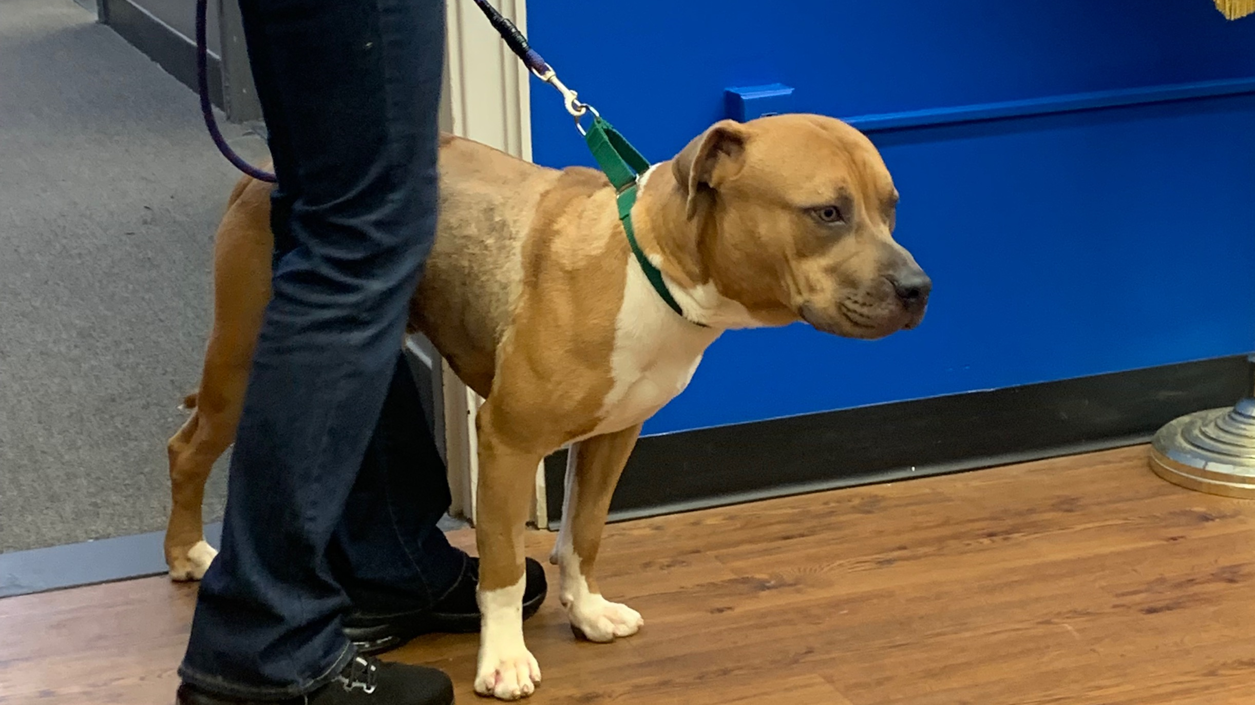 MicrosoftTeams-image (17).png