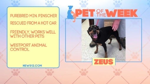 Article 131204 Thumbnail