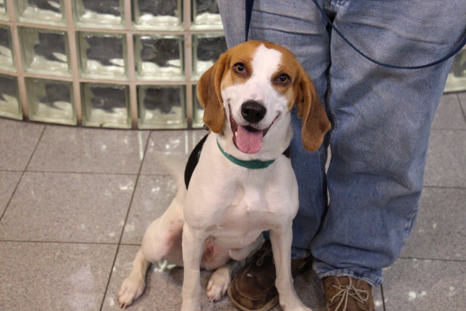 Article 142384 Thumbnail