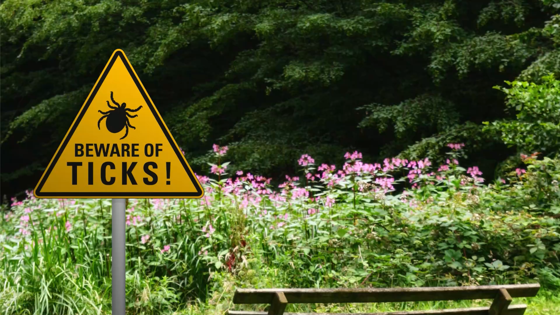 Article 260209 Hero Image