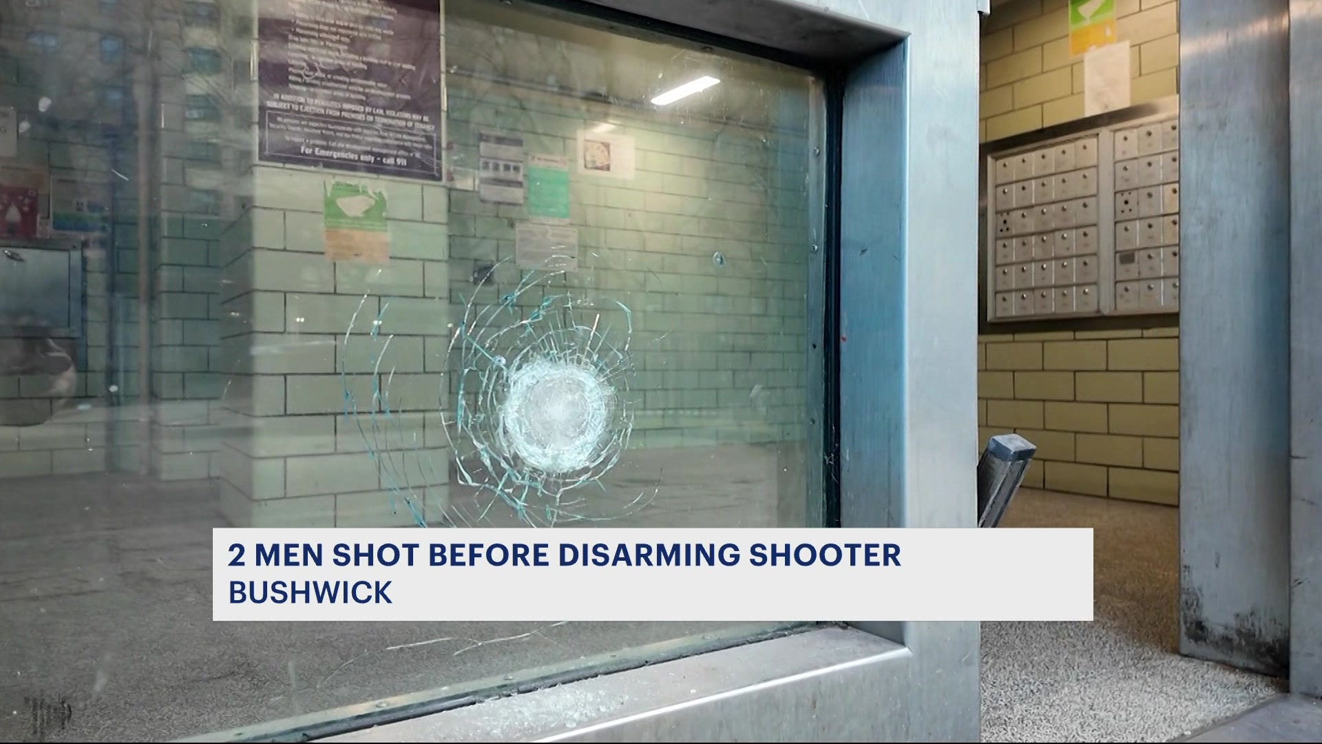 bushwickaveshootingCM_2026-01-12-17-35-13