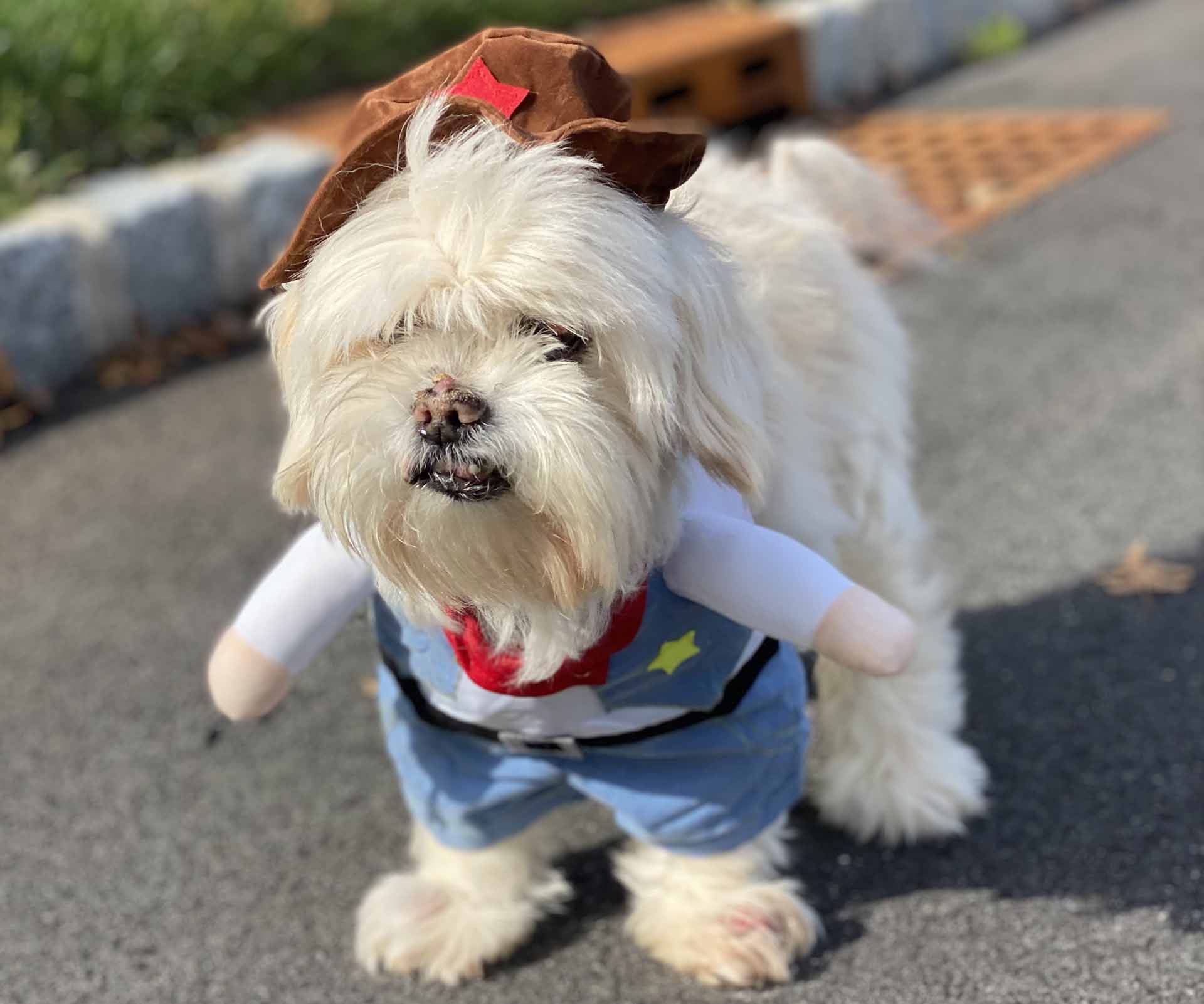 Article 308306 Thumbnail