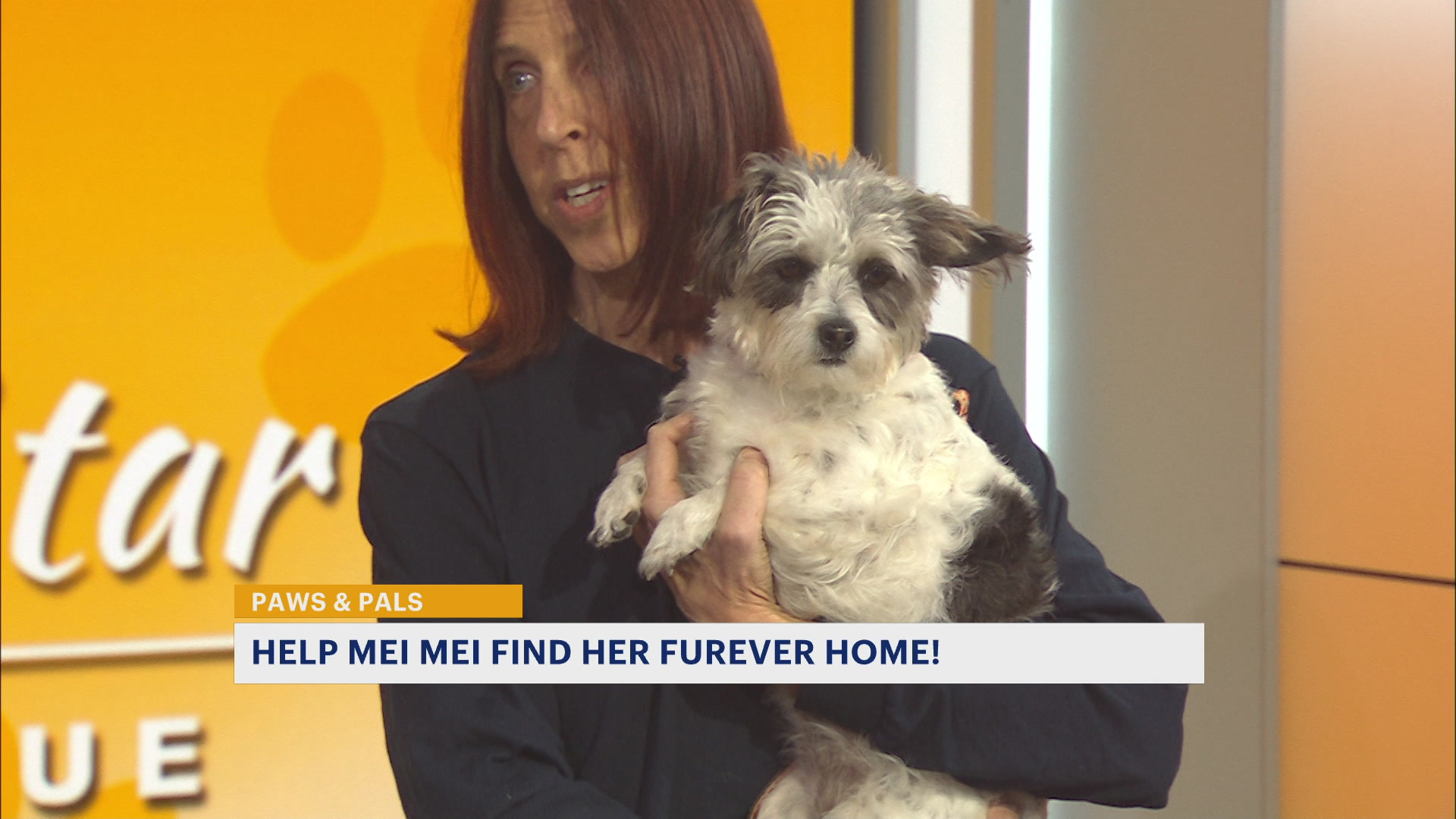 pawspals8am_2026-03-06-09-02-28