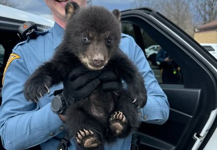 659142802 1242243724748325 1236668582426446546 n (002)