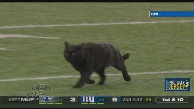 Article 35806 Thumbnail