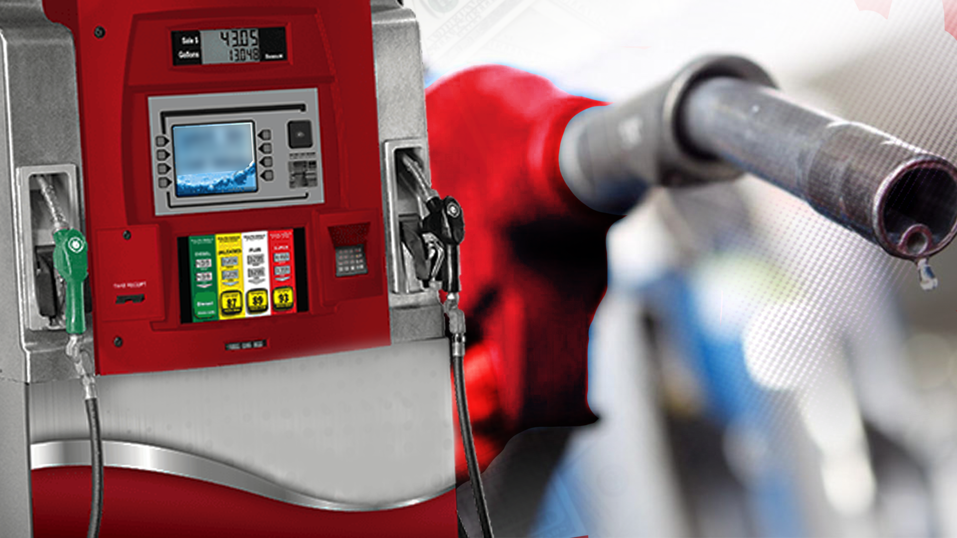 Article 255407 Hero Image