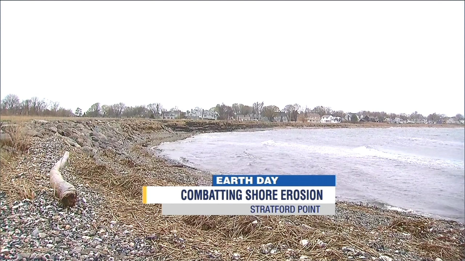 Article 115083 Thumbnail