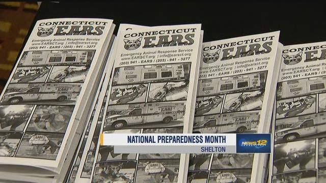 Article 146515 Thumbnail