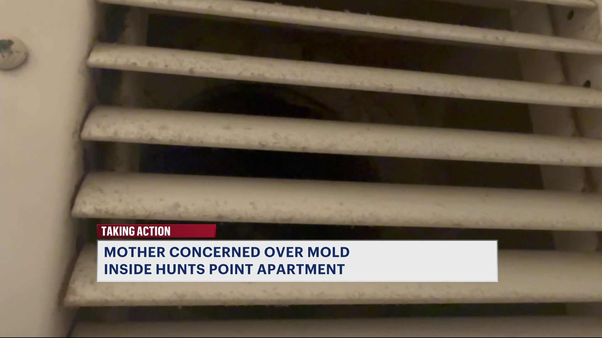 BXBRUCKNJONC41326_2026-04-13-05-28-12