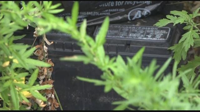 Article 144064 Thumbnail