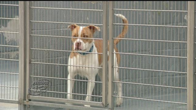 Article 107623 Thumbnail