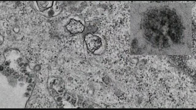 Article 22462 Thumbnail