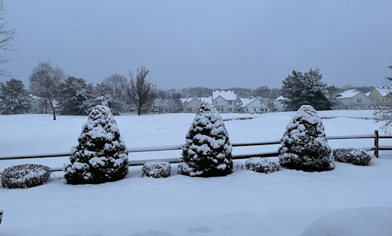 12 news long island weather