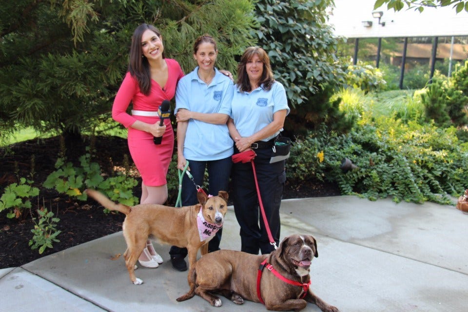 Article 128005 Thumbnail