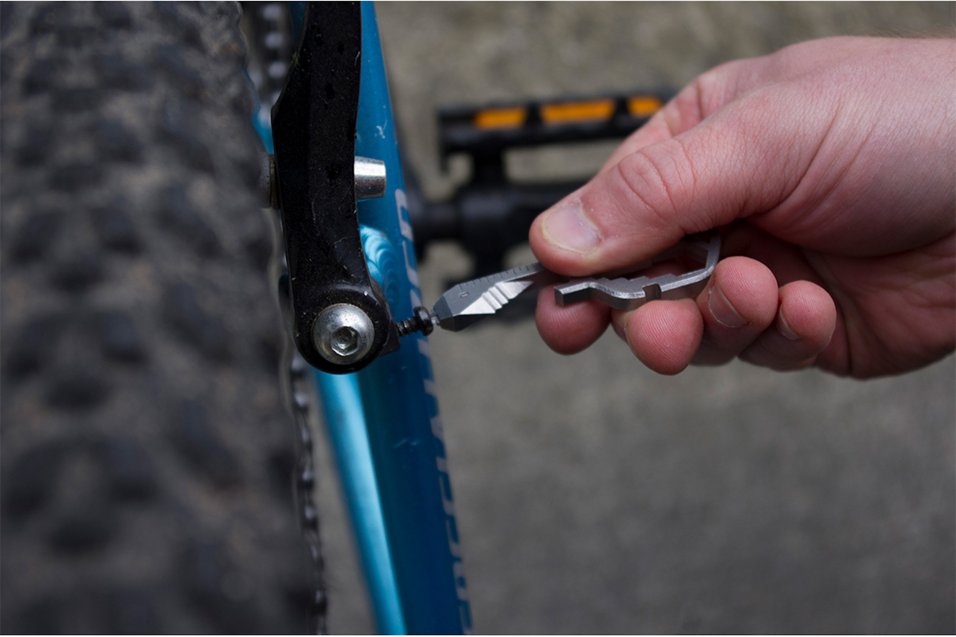 Article 247383 Hero Image