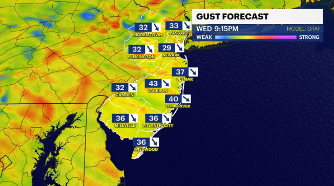 WIND GUST FORECAST.PNG