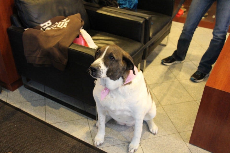 Article 118816 Thumbnail