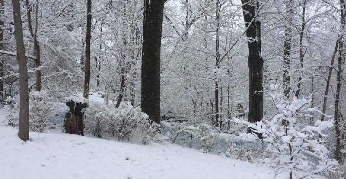 Article 117146 Thumbnail