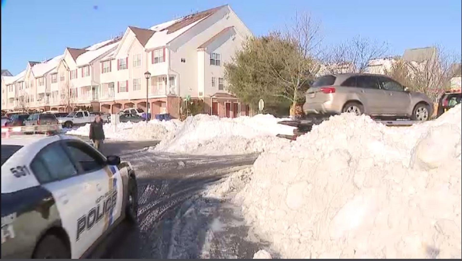 Article 251745 Hero Image