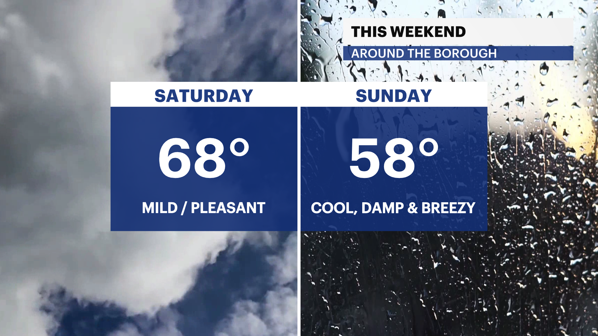 X_Panel_Compare_2 (2).png