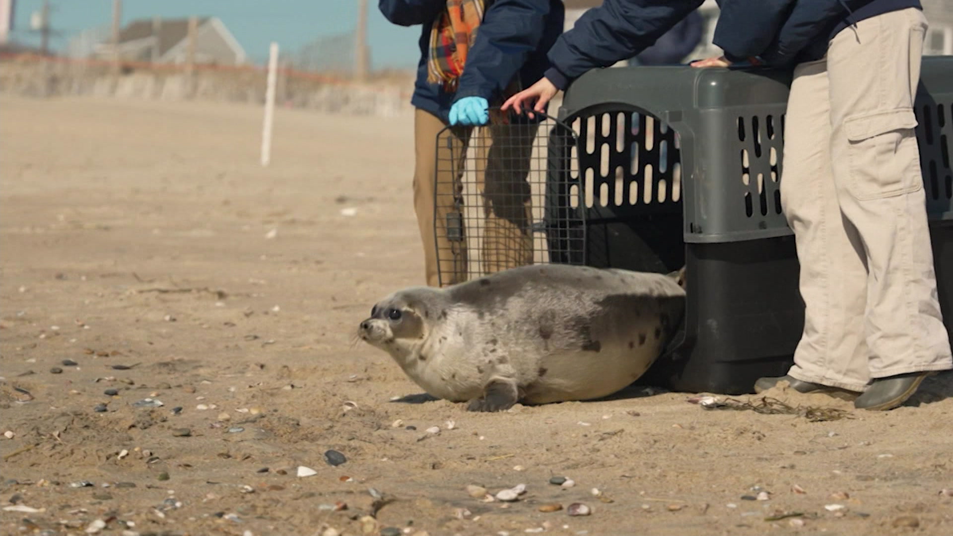 3242026Ctseal_2026-03-24-06-30-34