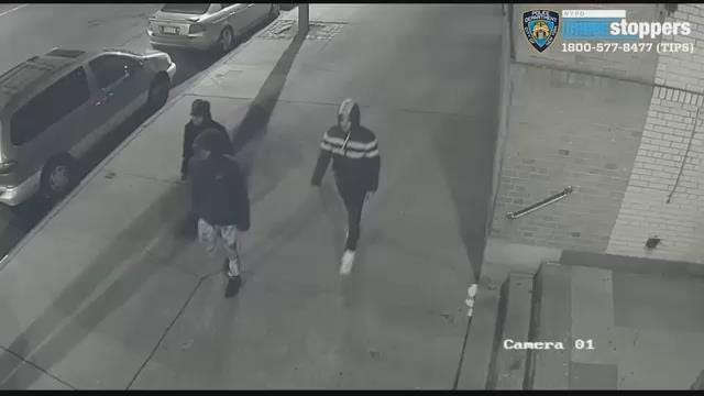 Article 109350 Thumbnail