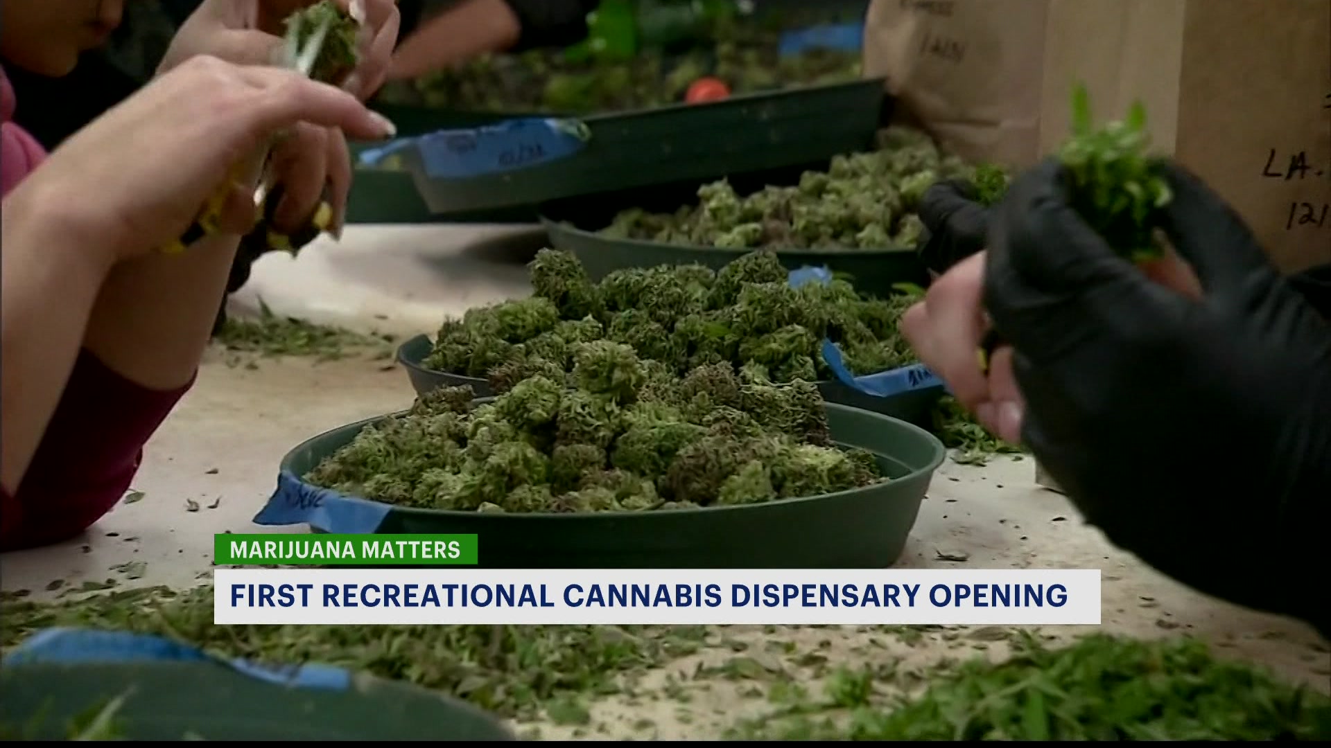 NY opens its first legal recreational marijuana dispensary