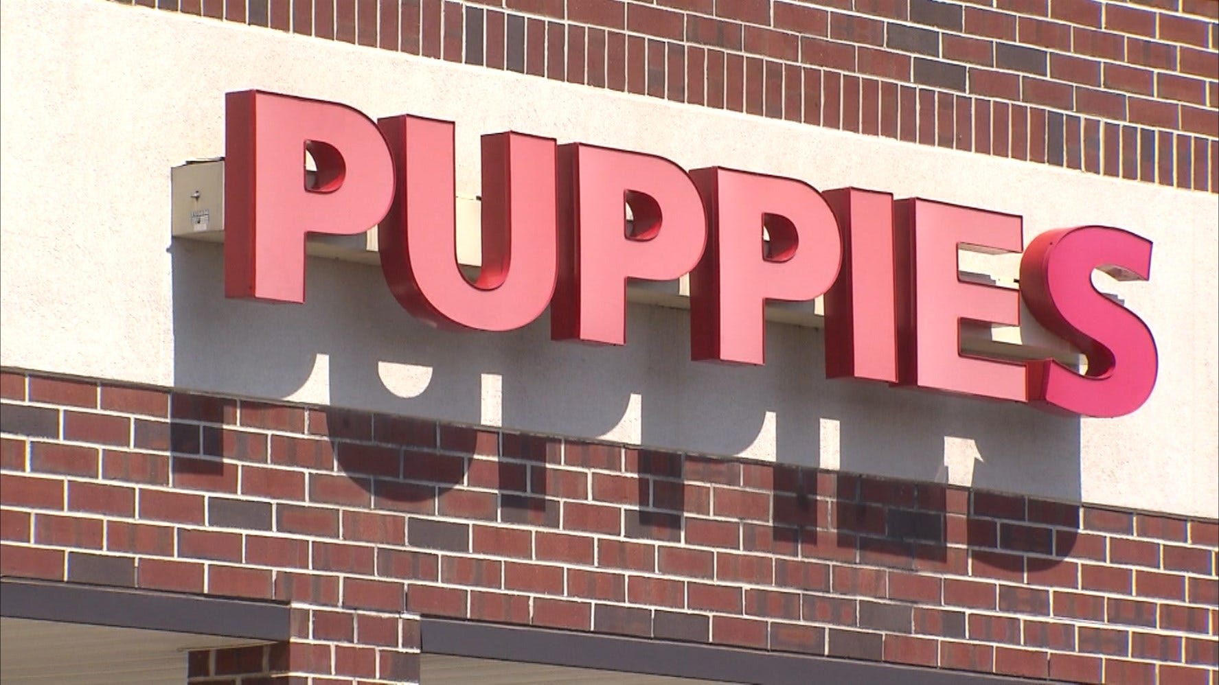 Article 115726 Thumbnail