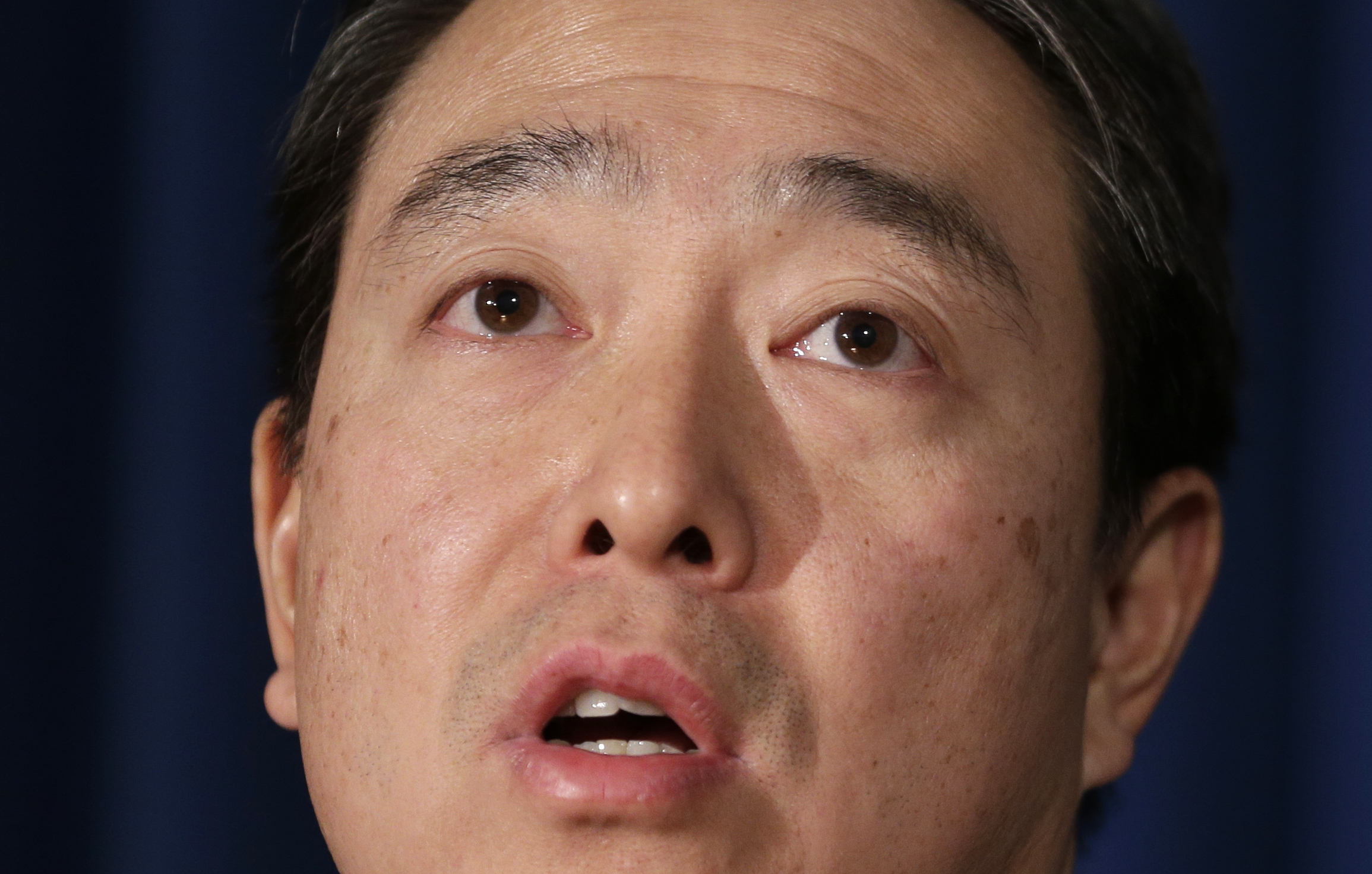 Article 254670 Hero Image