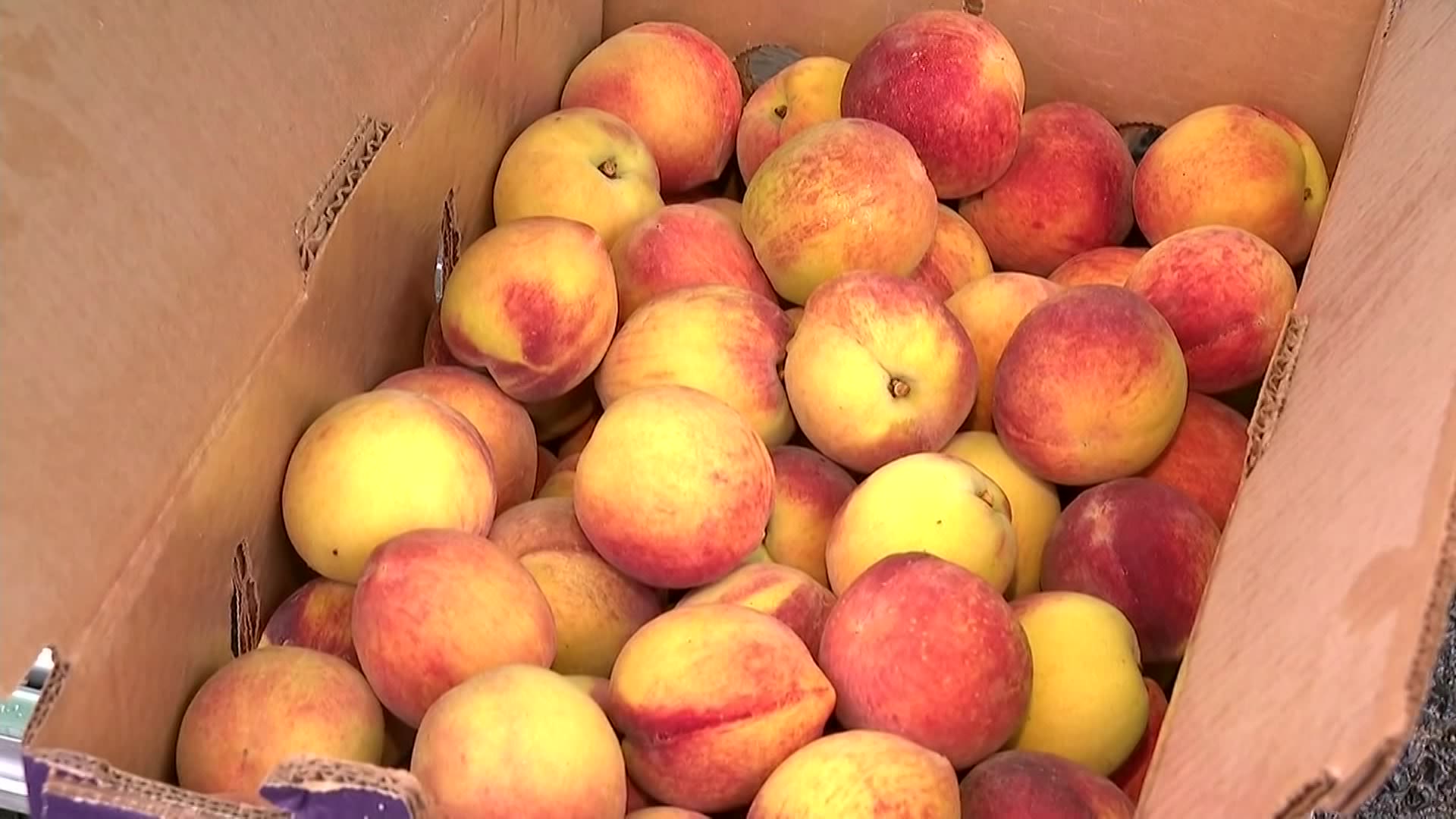 Peach Truck stops in Westport to serve up sweet, fresh fruit