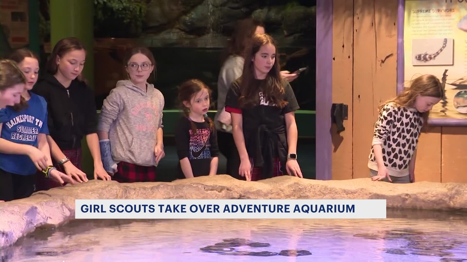 Girl Scouts troop participates in Camden's Adventure Aquarium