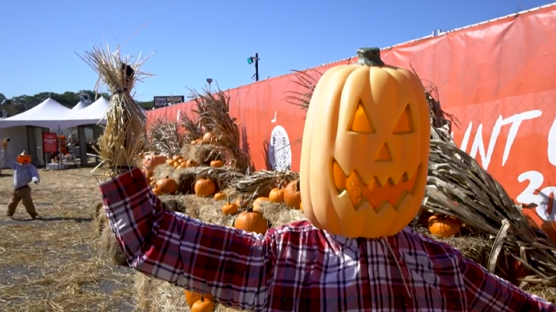 Article 309469 Hero Image