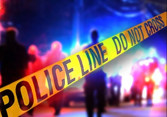 Article 29912 Thumbnail