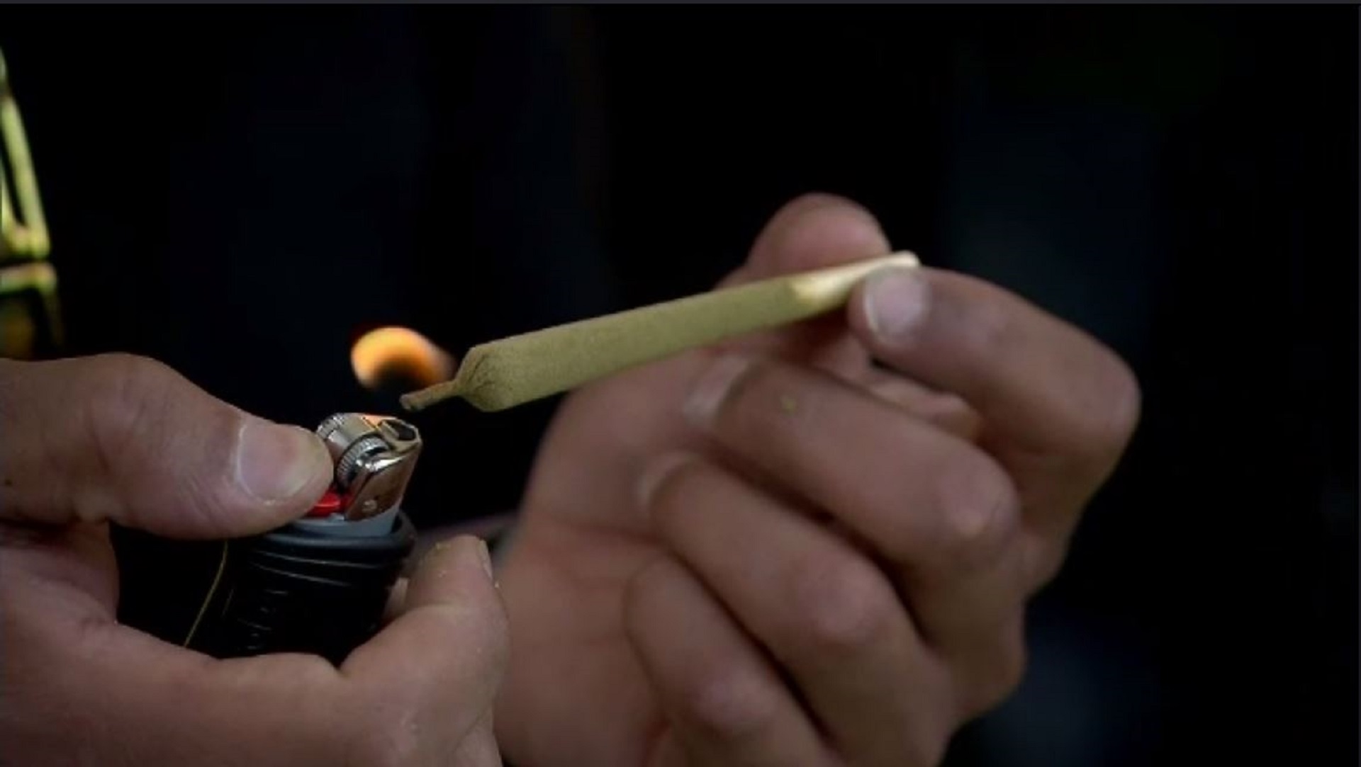 Article 243006 Hero Image