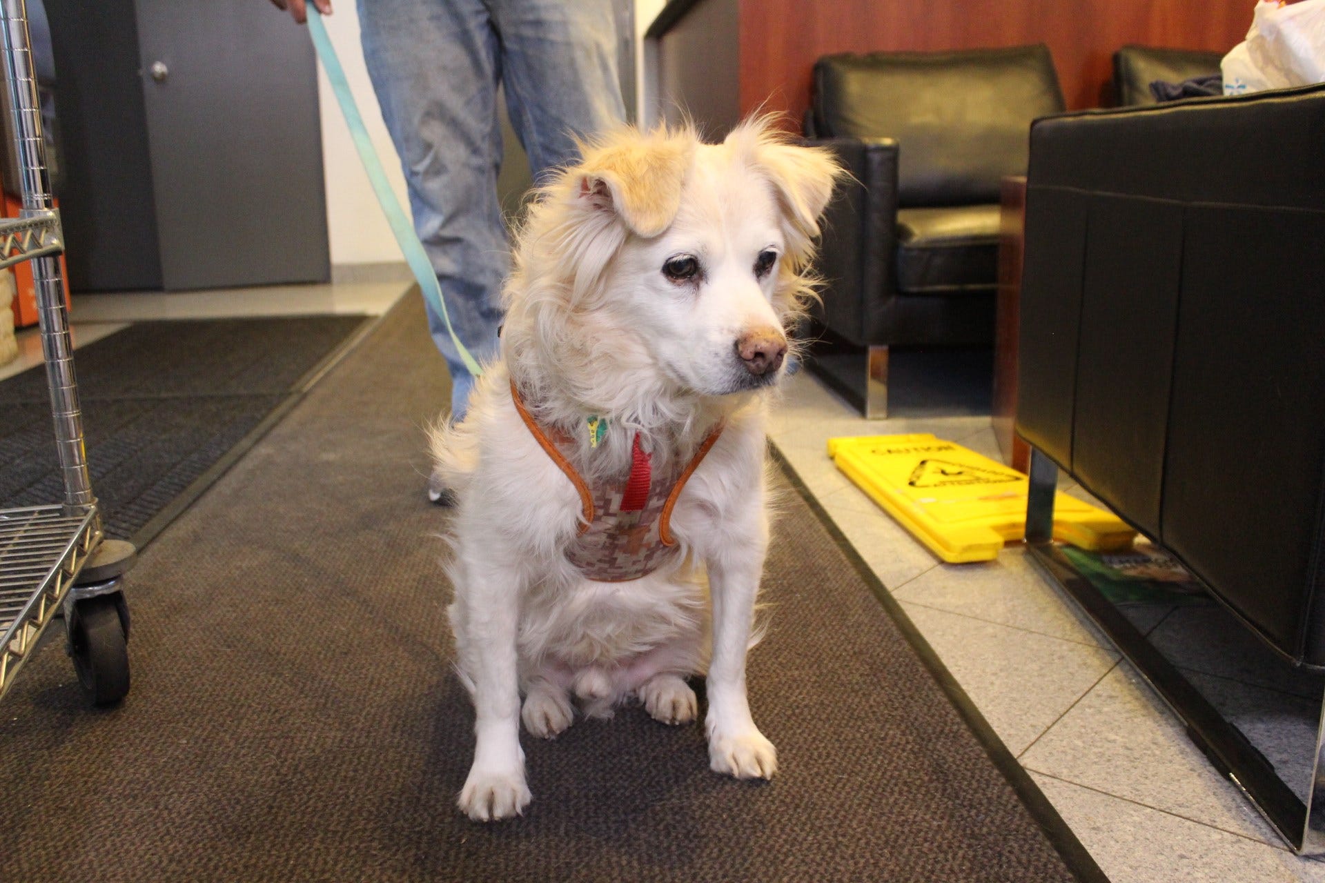 Article 46733 Thumbnail