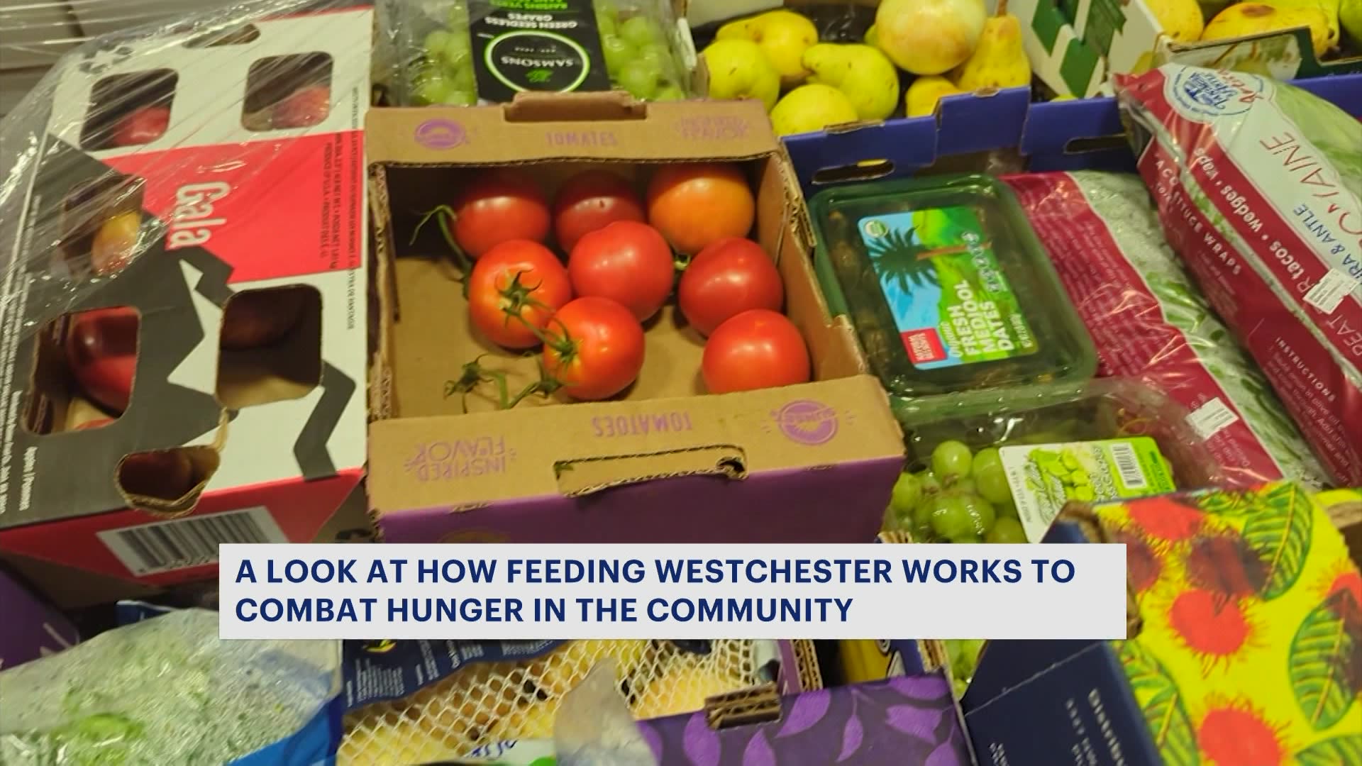 Feeding Westchester spotlights unwavering commitment to addressing food