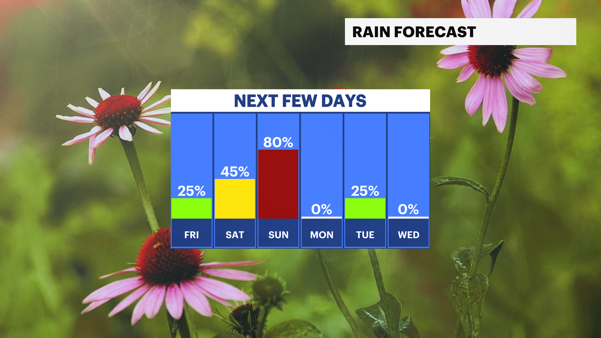 2111111111111111111 (1).png