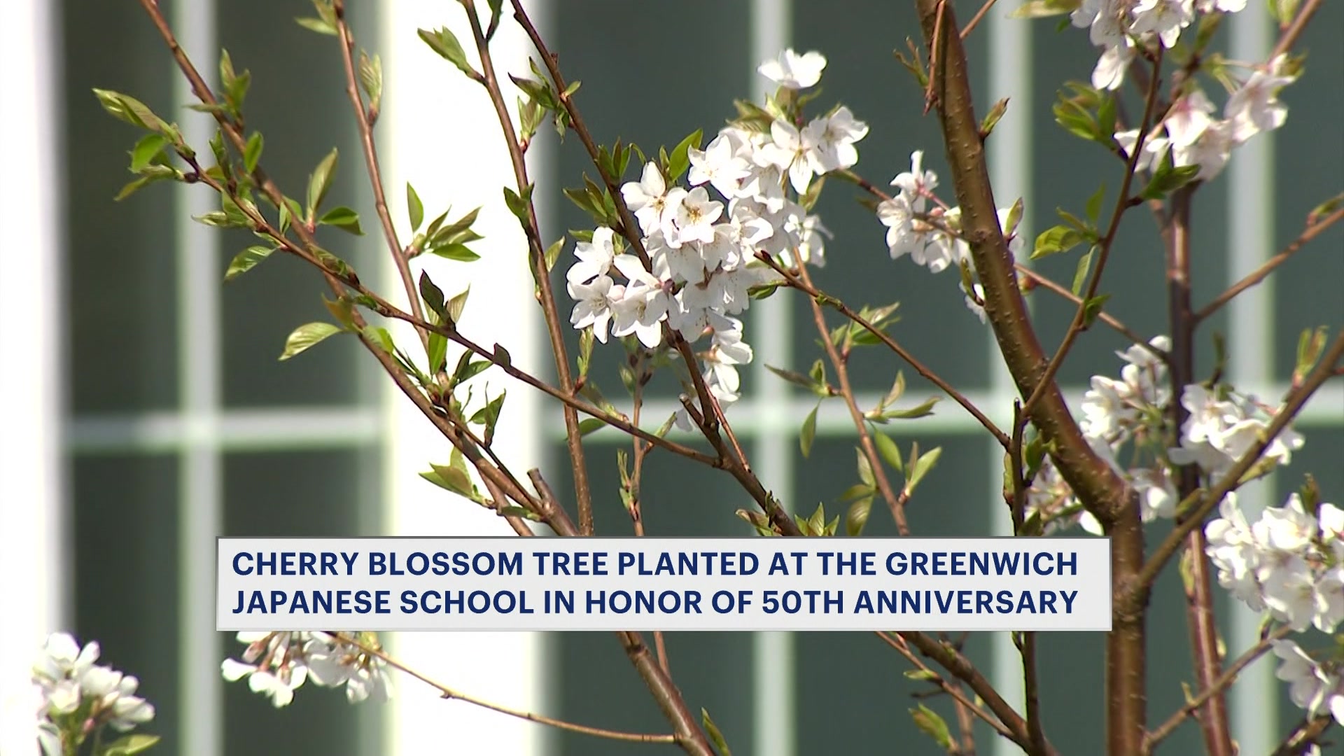 treeplanting0410_2026-04-10-16-49-31