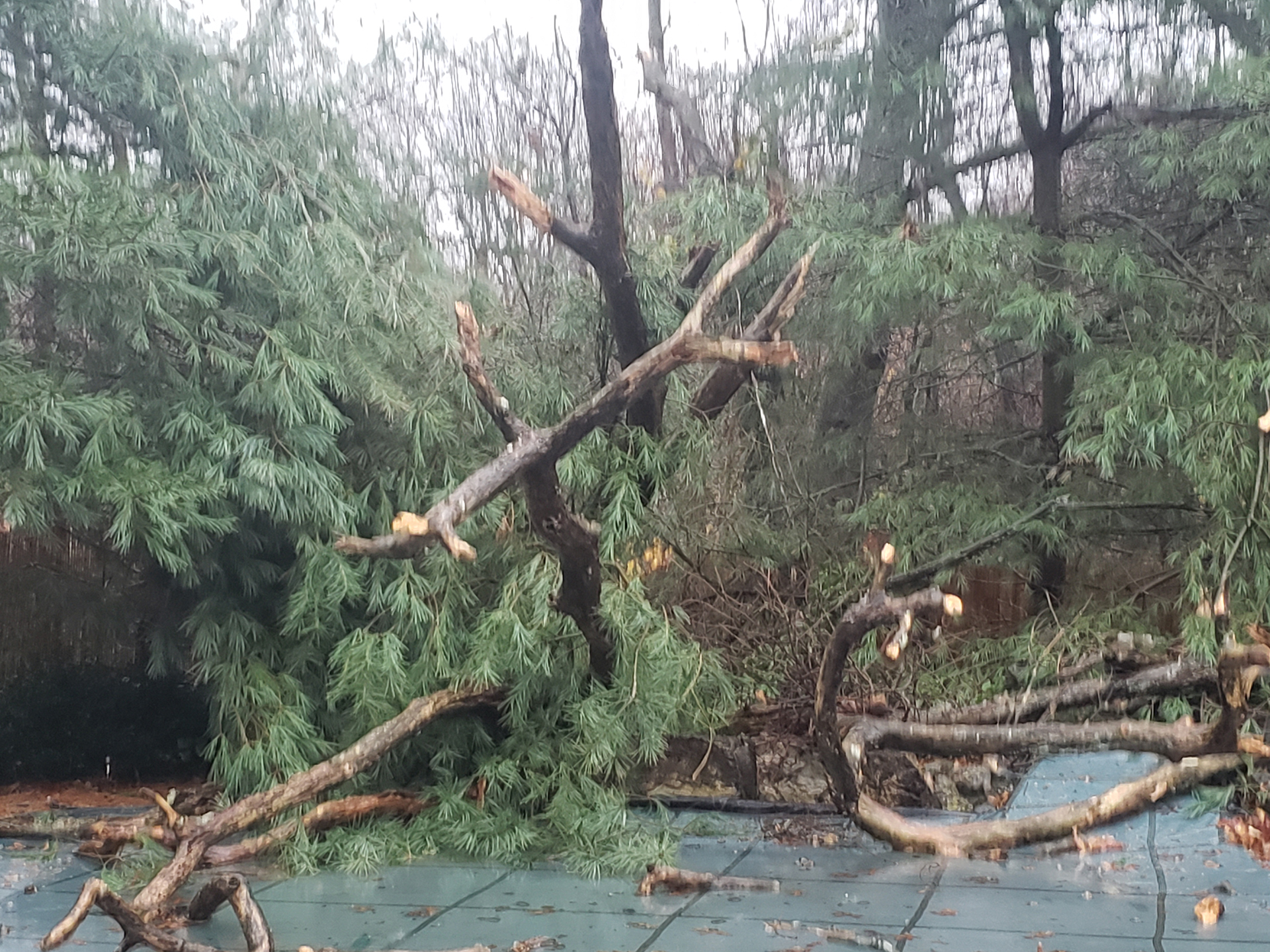 Article 243083 Hero Image