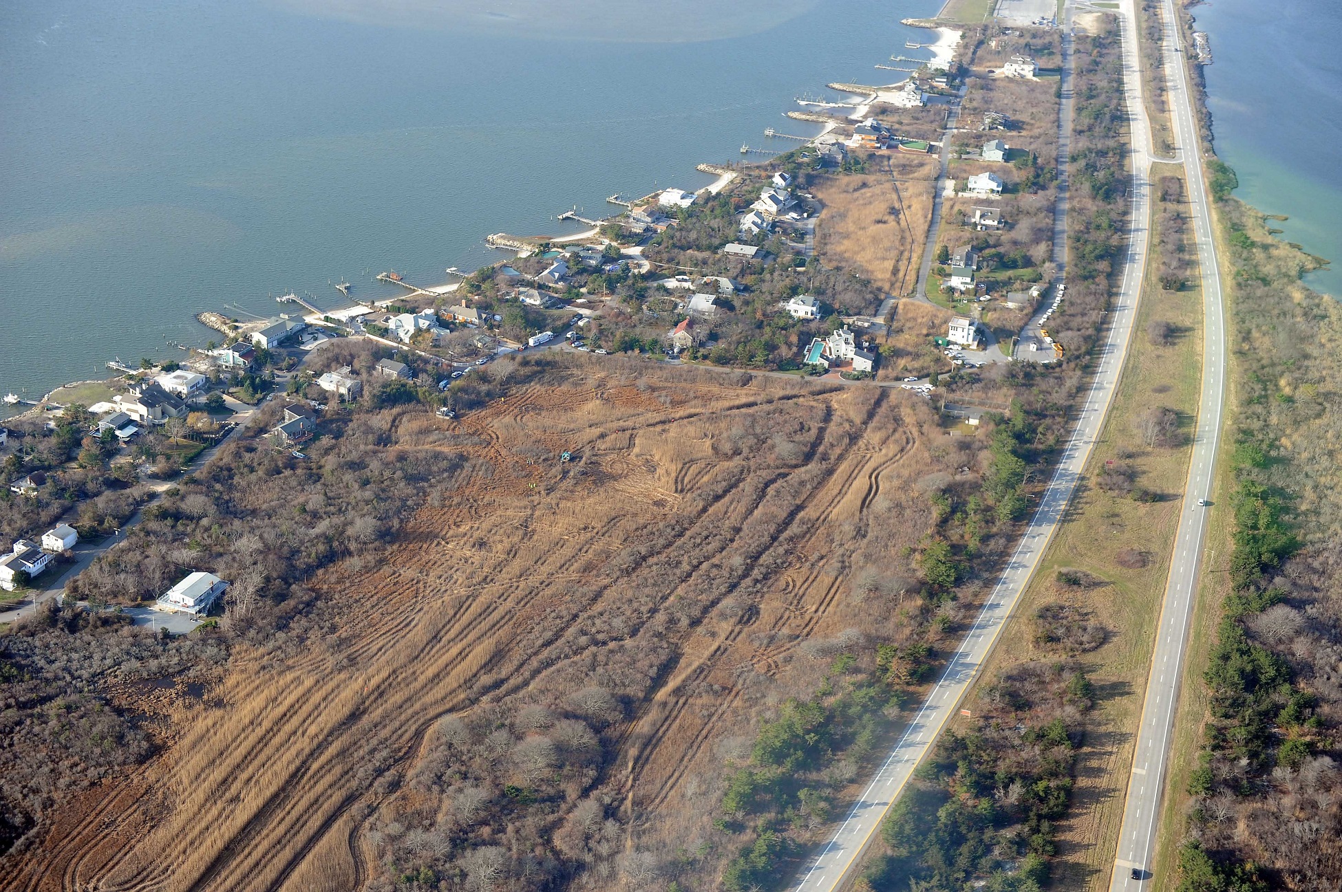 Article 244848 Hero Image