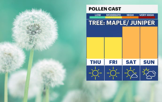 Screenshot 2026-04-08 151925.png