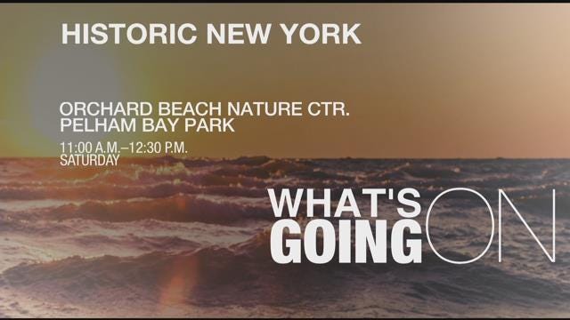 Article 42090 Thumbnail