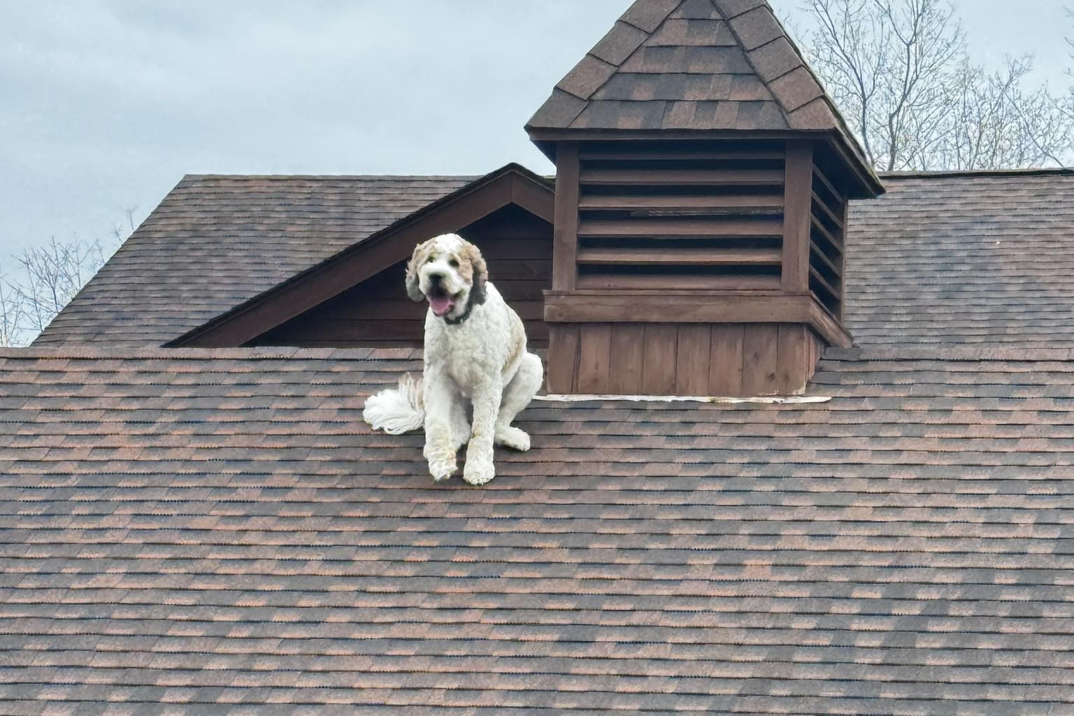 659726643 1350173013805093 5563031302684085598 n