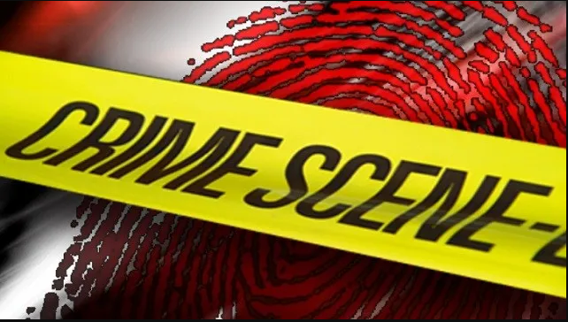 Article 33428 Thumbnail