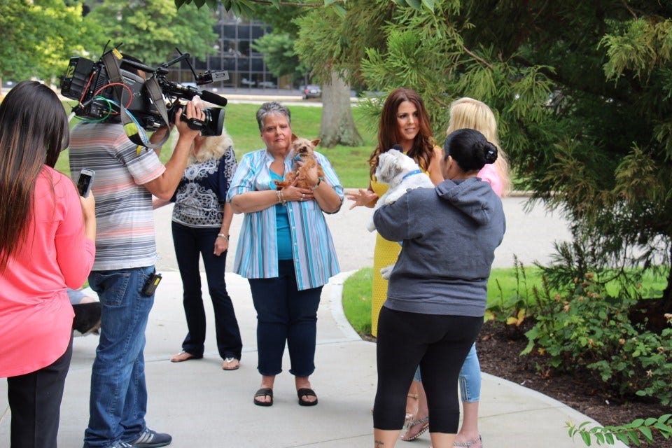 Article 127086 Thumbnail