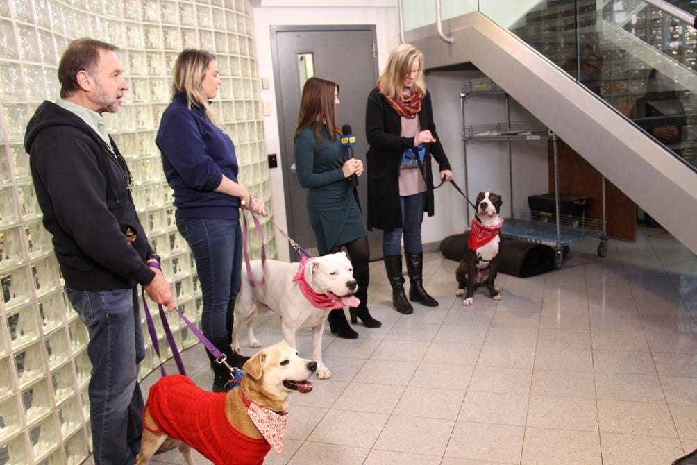 Article 116993 Thumbnail