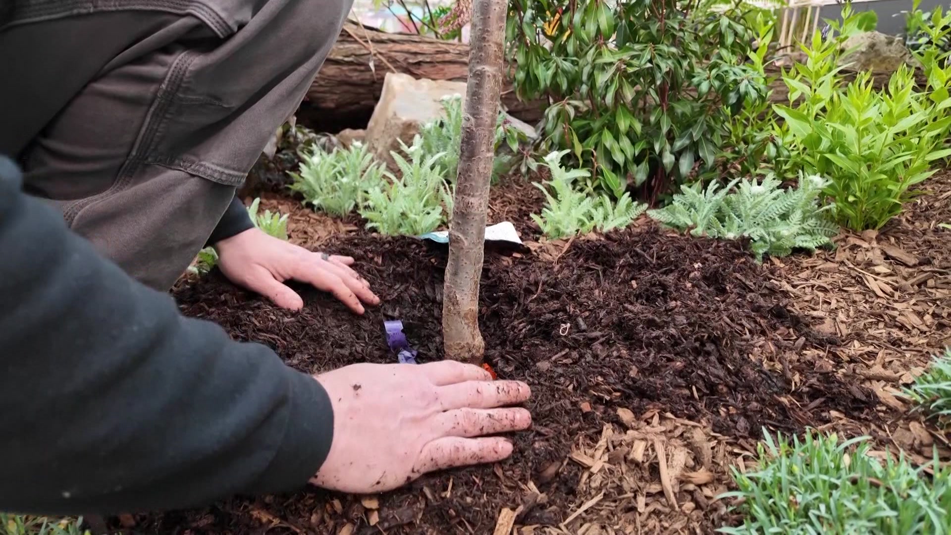 422MulchFertilizers_2025-04-22-11-09-36